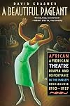 A Beautiful Pageant: African American Theatre, Drama, and Performance in the Harlem Renaissance, 1910-1927