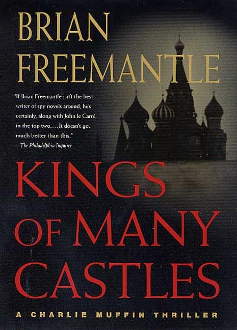 Kings of Many Castles book cover