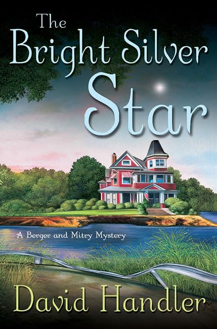 The Bright Silver Star book cover