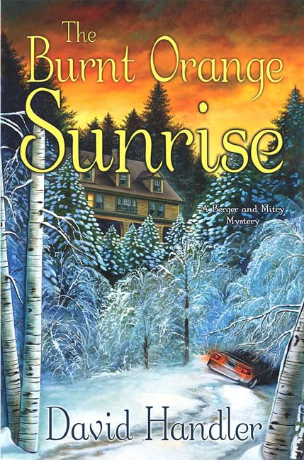 The Burnt Orange Sunrise book cover