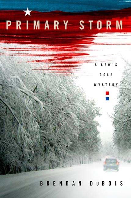Primary Storm book cover
