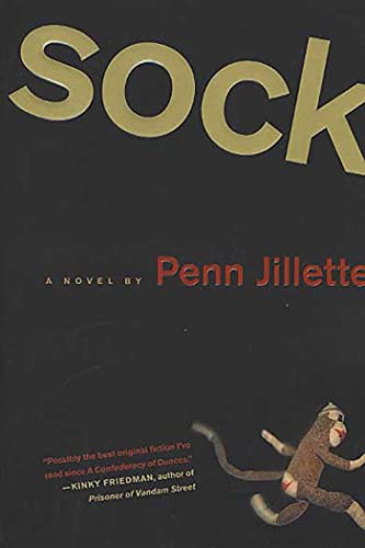 Sock book cover