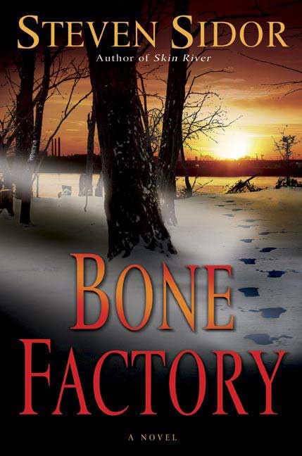 Bone Factory book cover