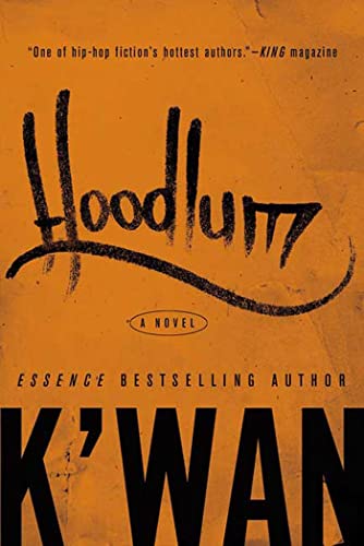 Hoodlum book cover