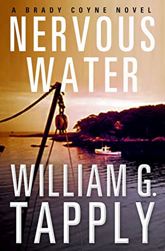 Nervous Water book cover
