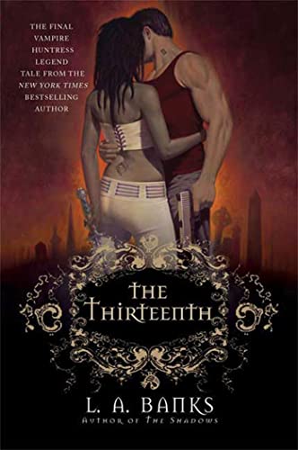 The Thirteenth book cover