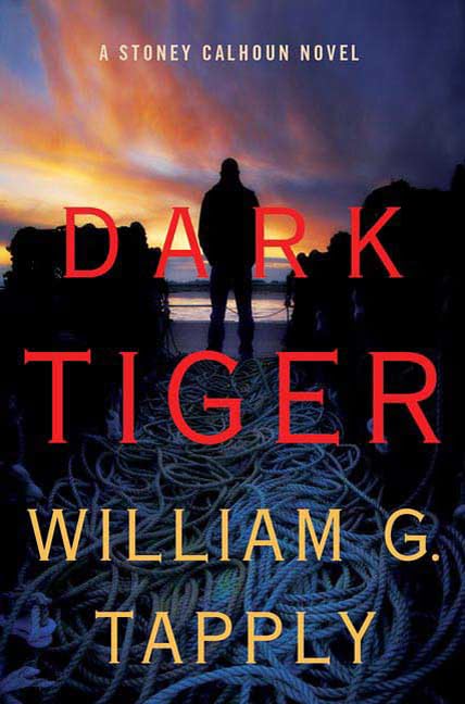 Dark Tiger book cover