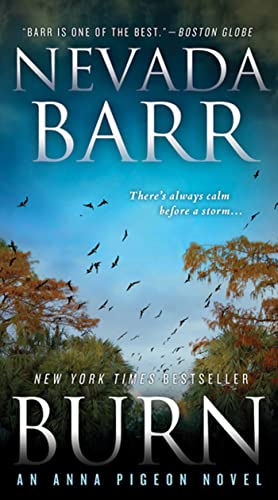 Burn book cover