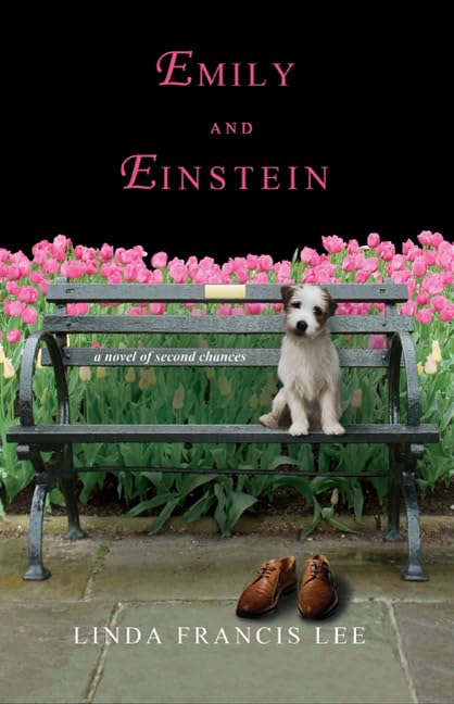 Emily and Einstein book cover