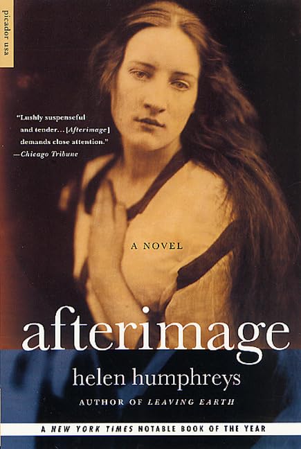 Afterimage book cover