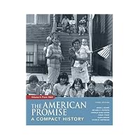 American Promise A Compact History From 1865