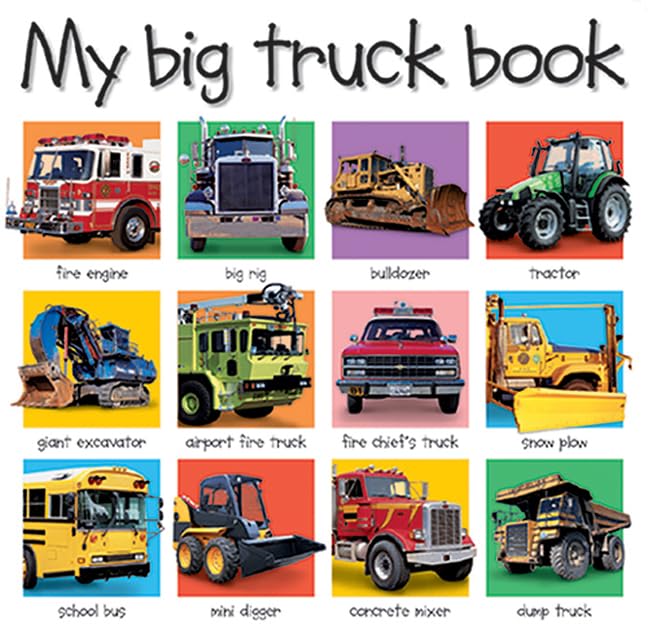 My Big Truck Book book cover