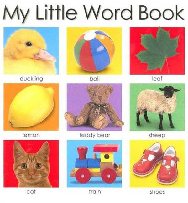 My Little Word Book book cover