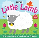 Amazon cover image