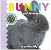 Bunny and Friends Touch and Feel (Baby Touch and Feel)