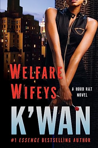 Welfare Wifeys book cover