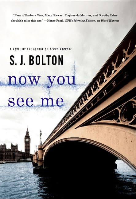 Now You See Me book cover