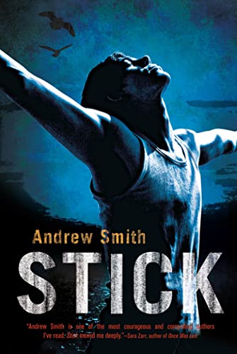 Stick book cover