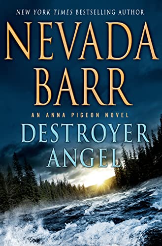 Destroyer angel / Nevada Barr