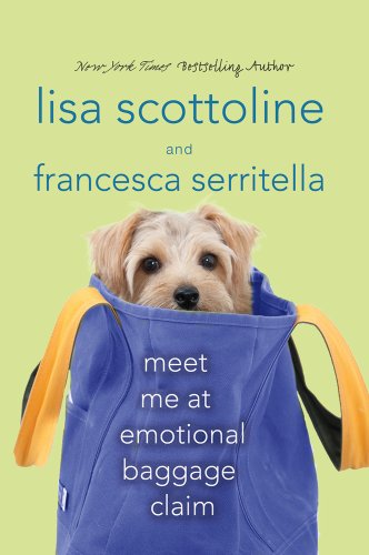 Meet Me at Emotional Baggage Claim book cover