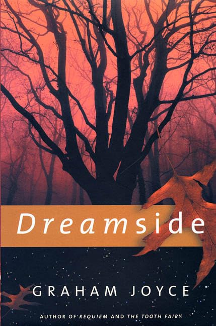 Dreamside book cover