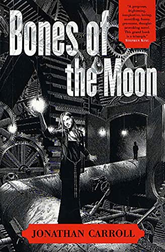 Bones of the Moon book cover