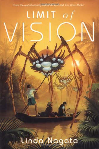 Limit of Vision