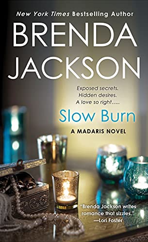 Slow Burn book cover