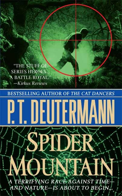 Spider Mountain book cover