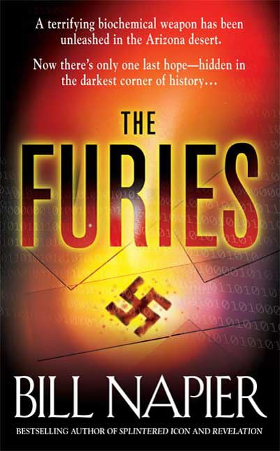 The Furies book cover