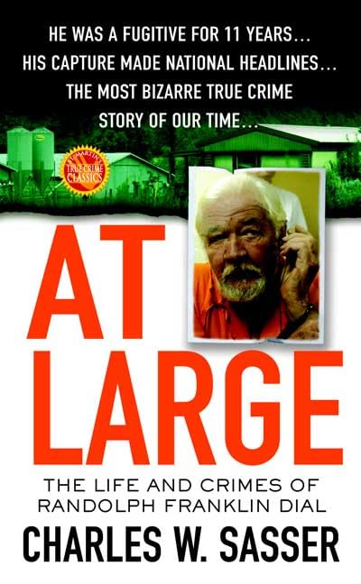 At Large book cover