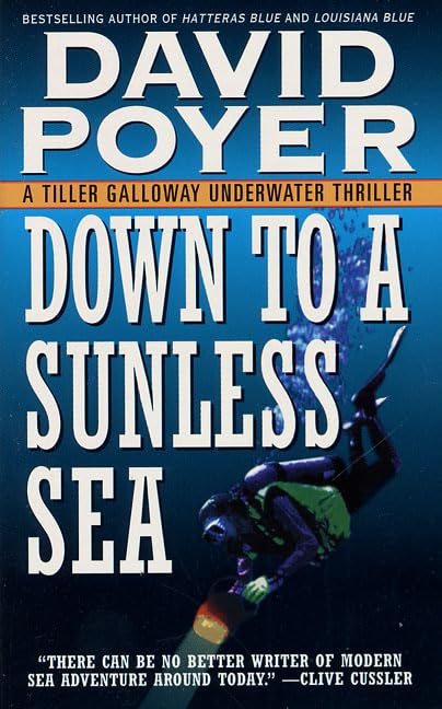 Down to a Sunless Sea book cover