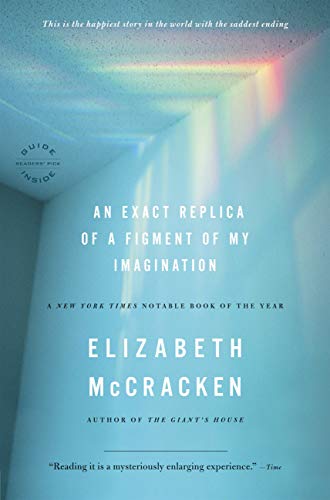 An Exact Replica of a Figment of My Imagination book cover