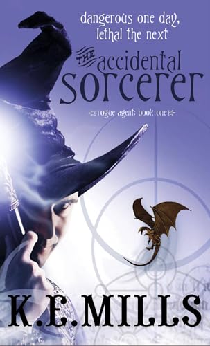 The Accidental Sorcerer book cover