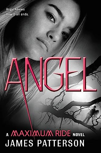 Angel book cover