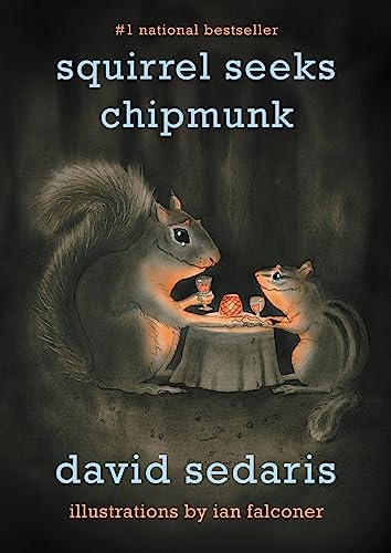 Squirrel Seeks Chipmunk book cover