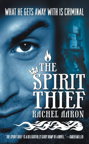 The Spirit Thief book cover