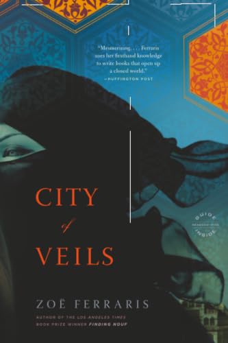 City of Veils book cover