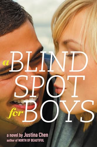 A Blind Spot for Boys book cover