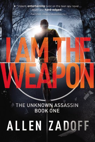 Boy Nobody / I Am the Weapon cover