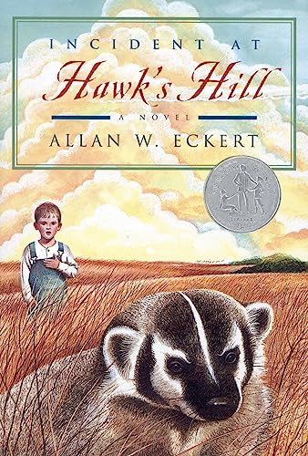 Incident at Hawk's Hill book cover