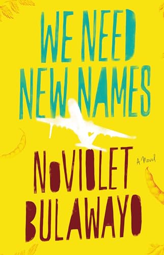 We Need New Names book cover