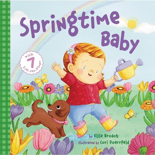 Springtime Baby book cover