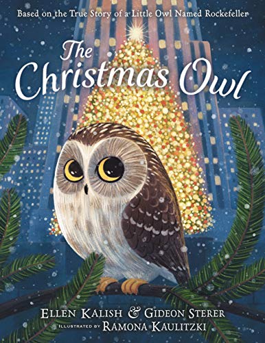 The Christmas Owl : by Kalish, Ellen