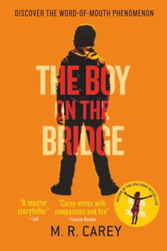The Boy on the Bridge book cover