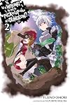 Is It Wrong to Try to Pick Up Girls in a Dungeon? [Light Novel] Volume 2