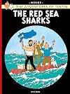 The Red Sea Sharks