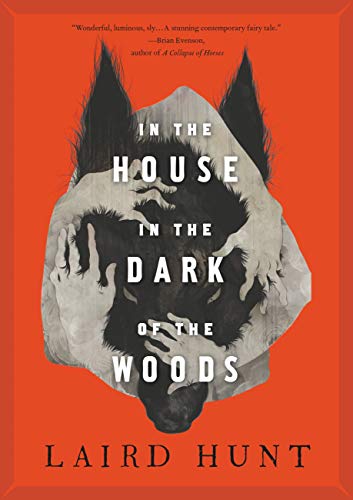 In the House in the Dark of the Woods book cover