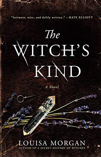 The Witch's Kind book cover
