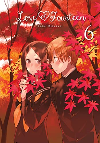 Cover of Love at fourteen
